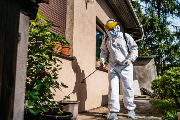 Best Pest Prevention Services  in Goldenrod, FL
