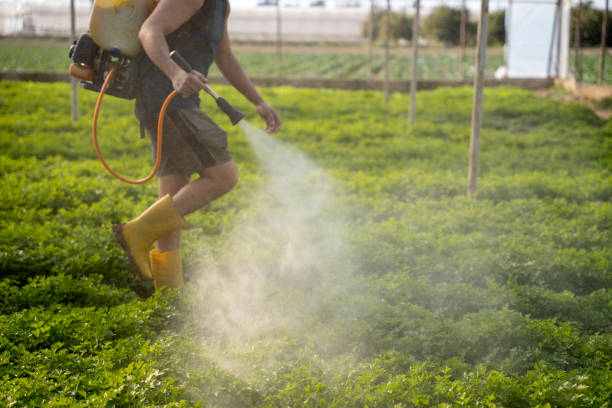 Best Best Pest Control Companies  in Goldenrod, FL